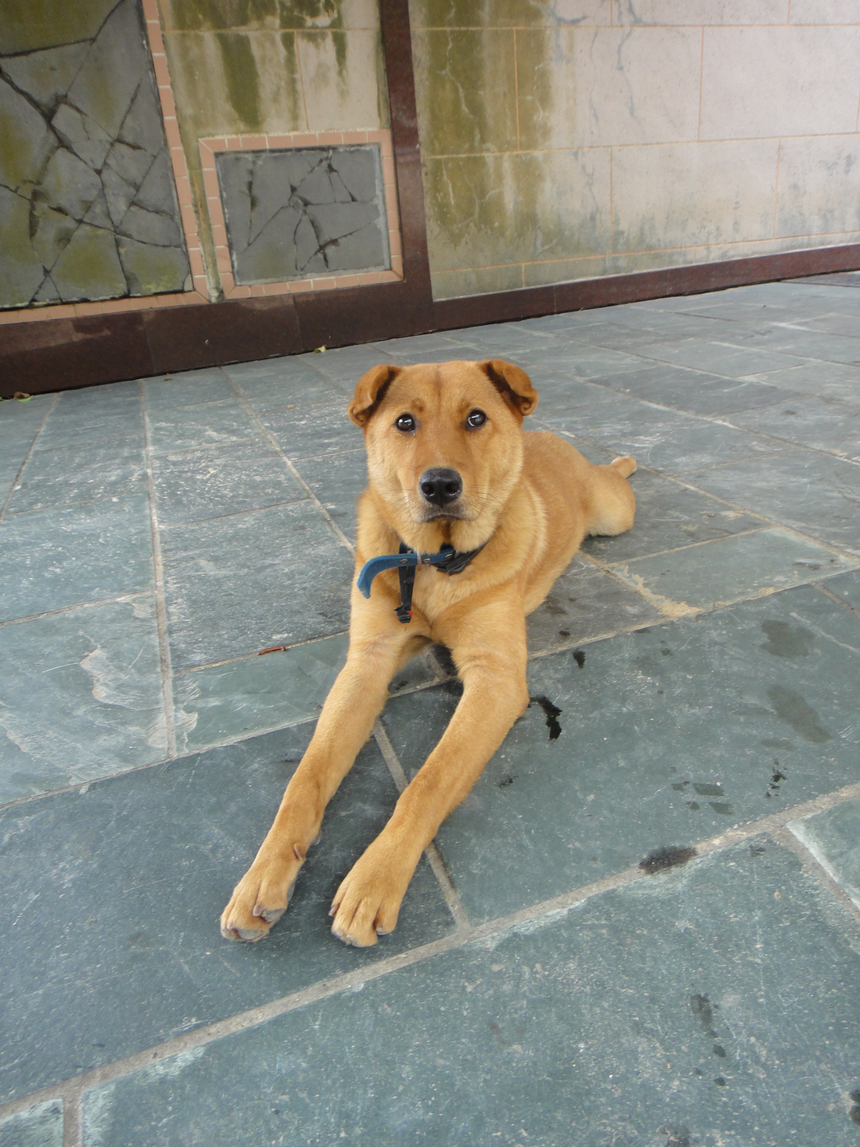 -36-phoebe-2019-5-22.jpg